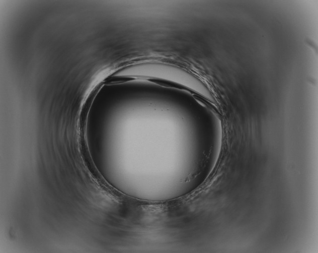 X0000091900102200709121506