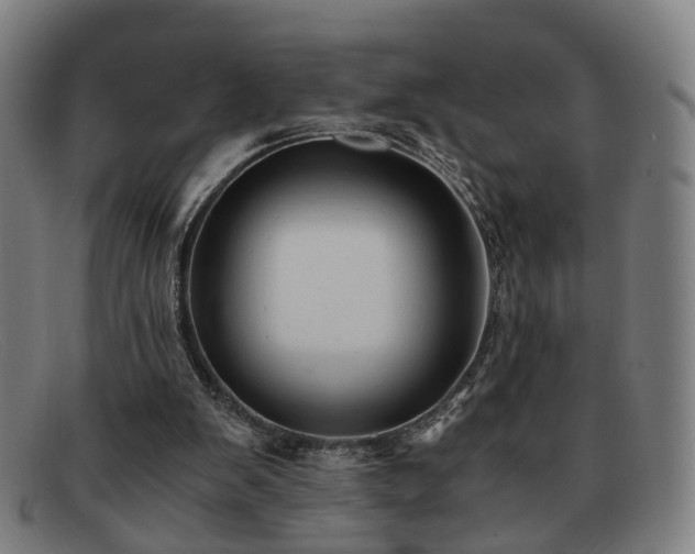 X0000091900103200709121506