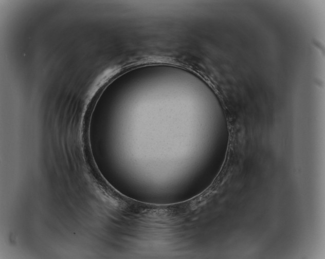 X0000091900104200709121506