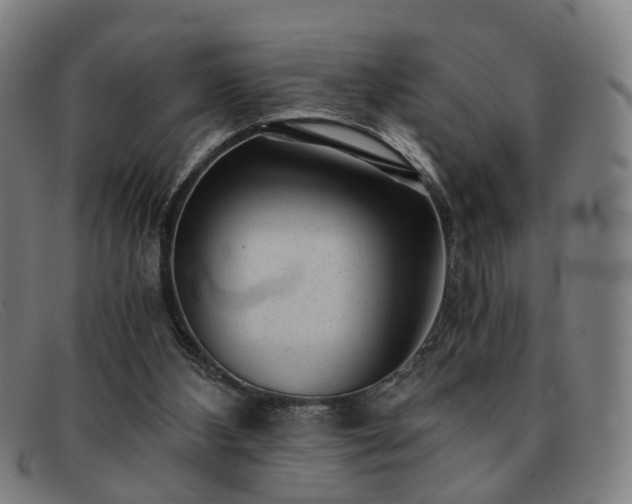 X0000091900108200709121506