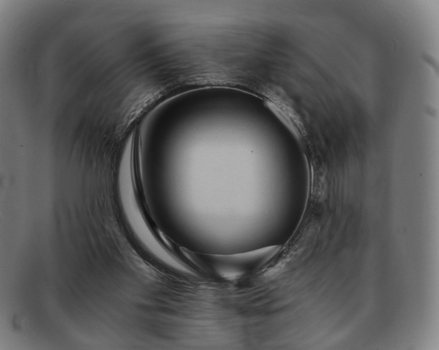 X0000091900109200709121506