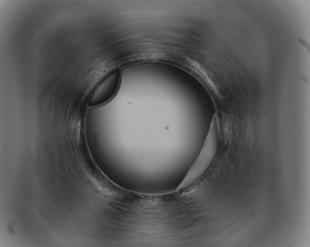 X0000091900110200709121506