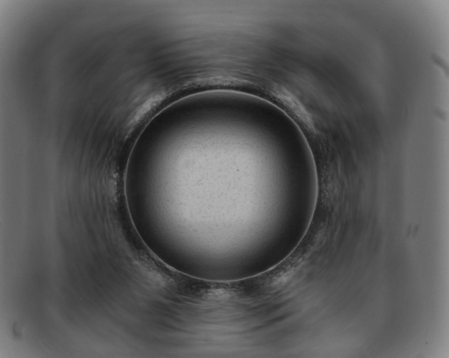 X0000091900111200709121506