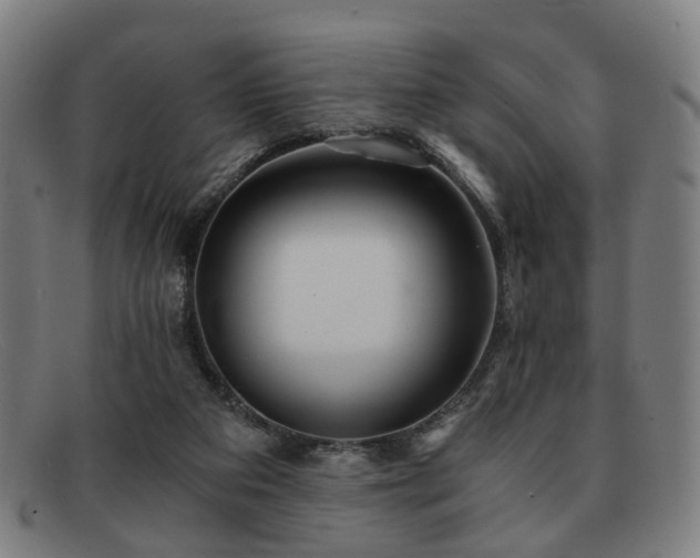 X0000091900113200709121506