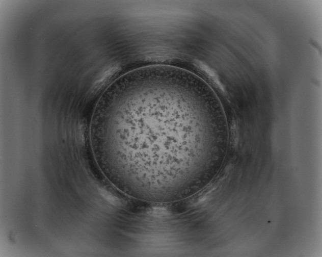 X0000091900114200709121506