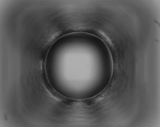 X0000091900115200709121506