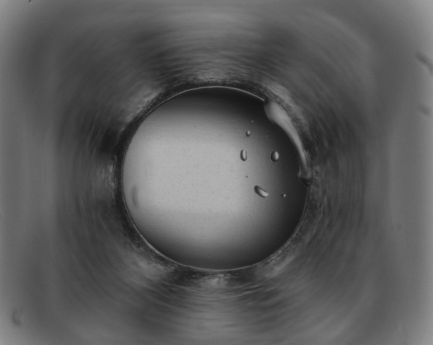 X0000091900116200709121506