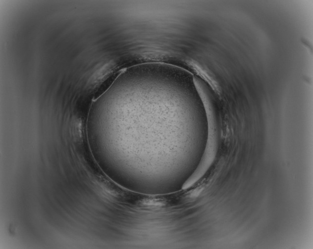 X0000091900117200709121506