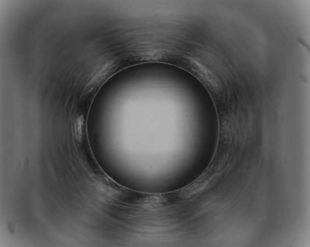 X0000091900118200709121506