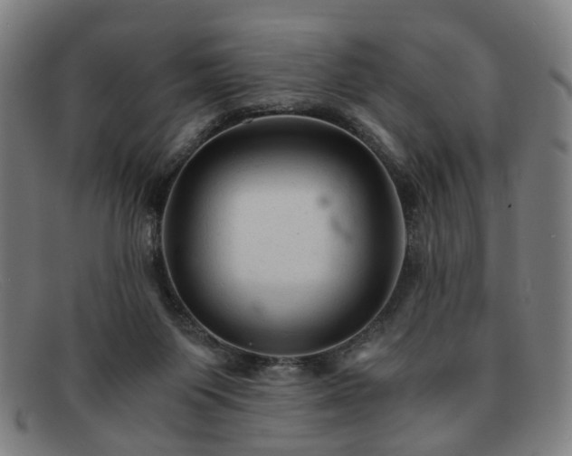 X0000091900119200709121506