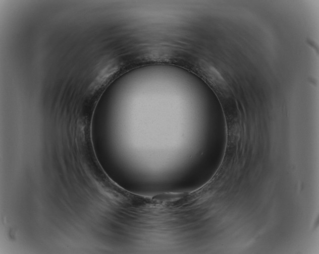 X0000091900120200709121506