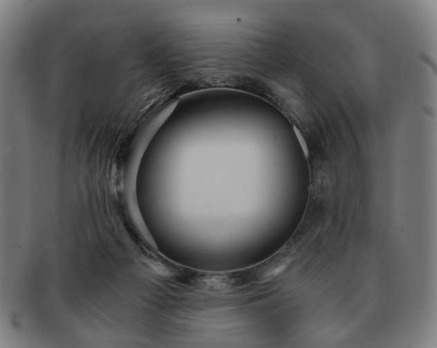 X0000091900121200709121506