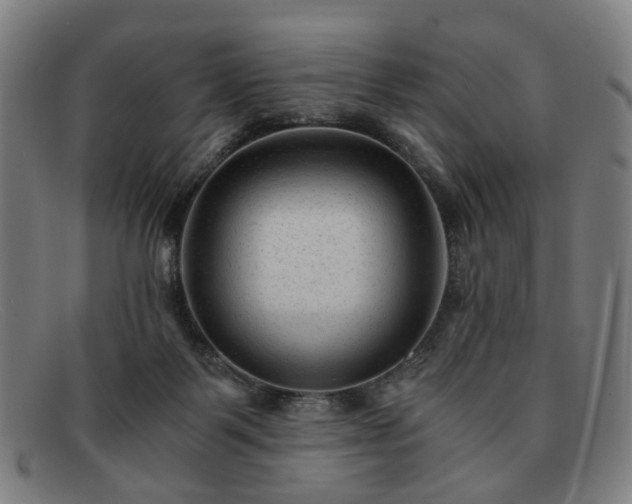 X0000091900123200709121506