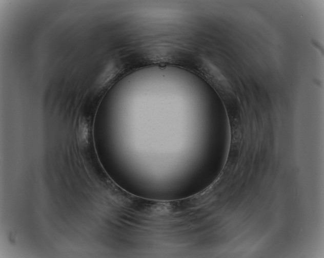 X0000091900124200709121506