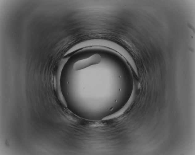 X0000091900125200709121506