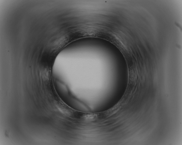 X0000091900126200709121506