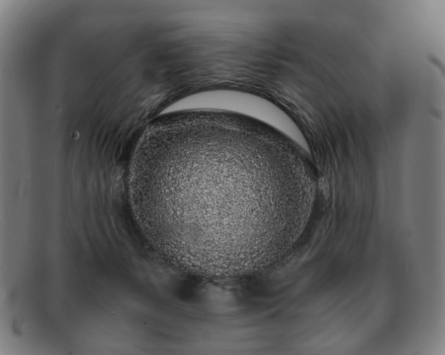 X0000091900127200709121506