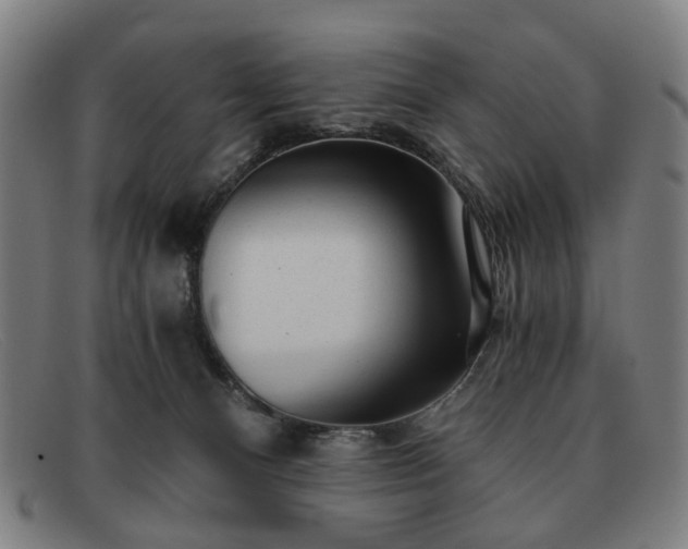 X0000091900128200709121506