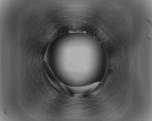 X0000091900129200709121506