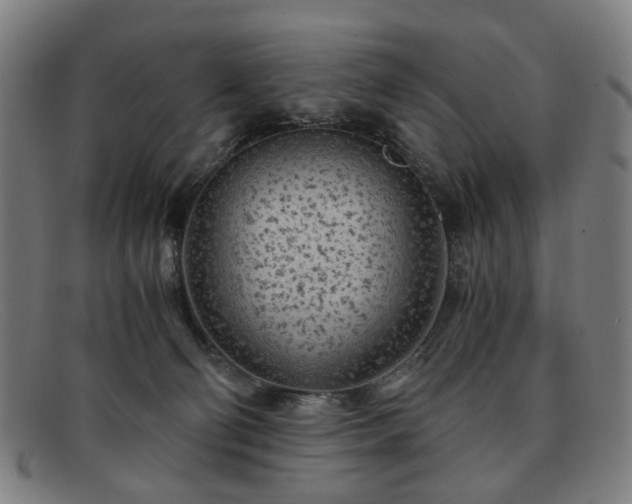 X0000091900130200709121506