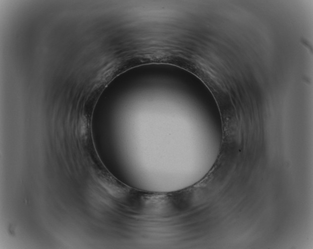 X0000091900132200709121506