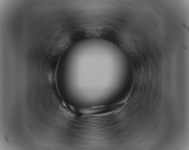 X0000091900134200709121506