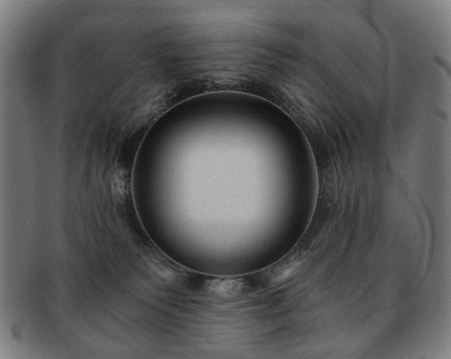 X0000091900135200709121506