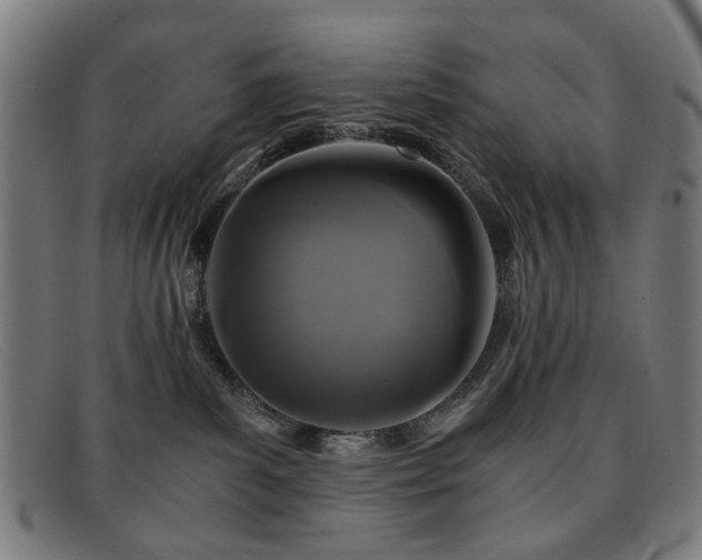 X0000091900139200709121506