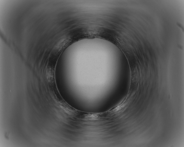 X0000091900140200709121506