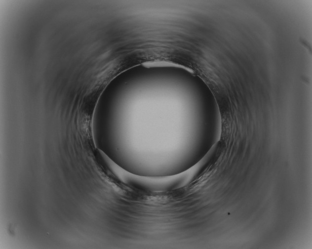 X0000091900141200709121506