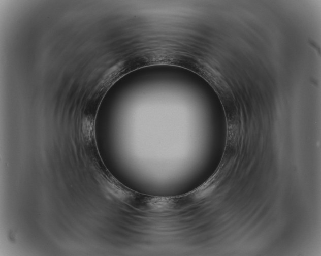 X0000091900142200709121506