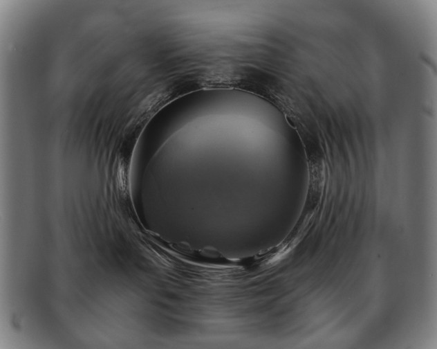 X0000091900143200709121506