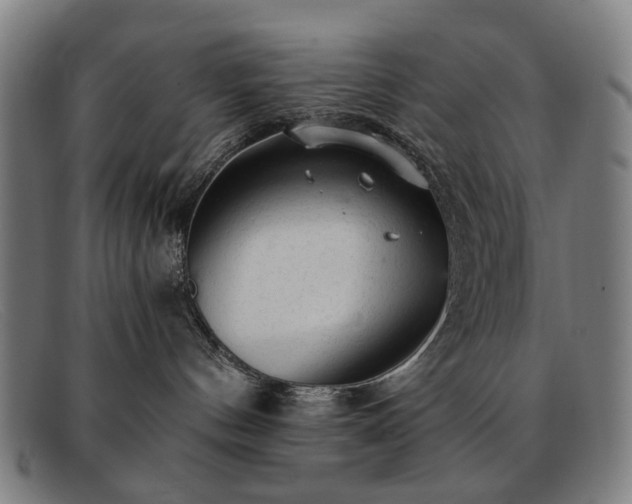 X0000091900144200709121506