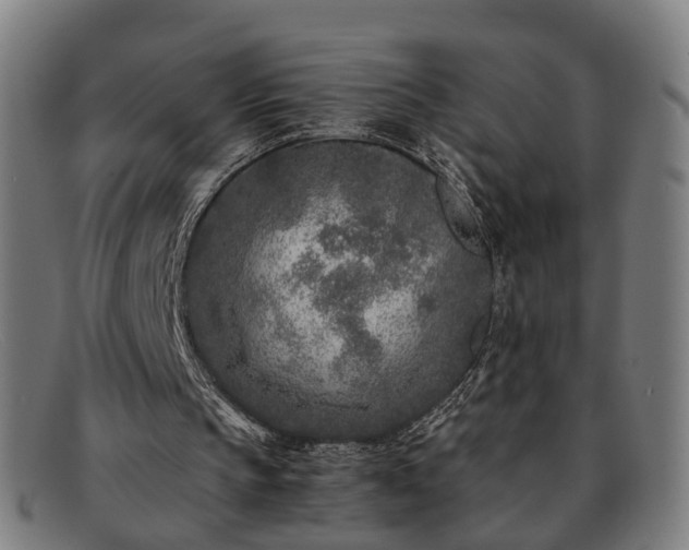 X0000091900145200709121505