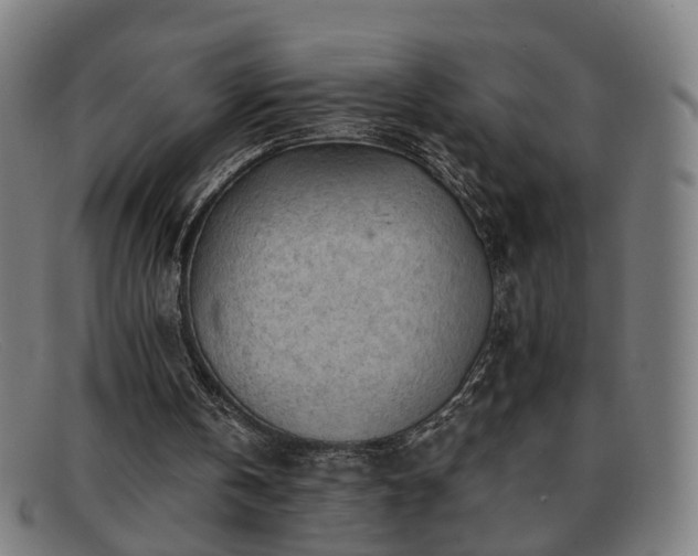 X0000091900146200709121505