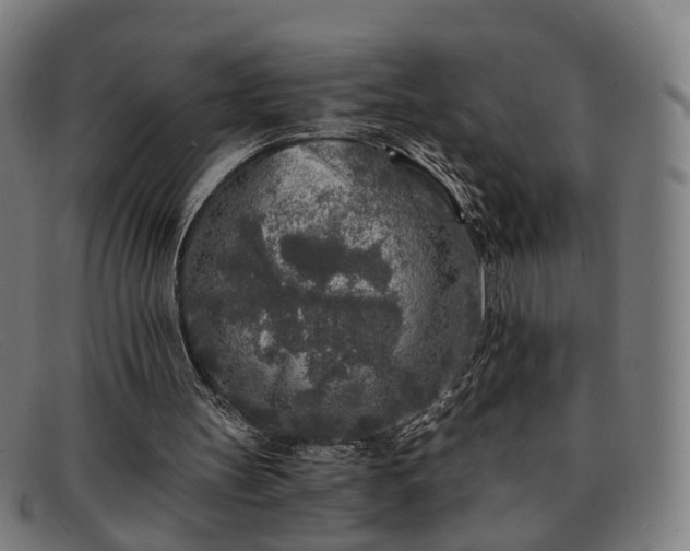 X0000091900147200709121505