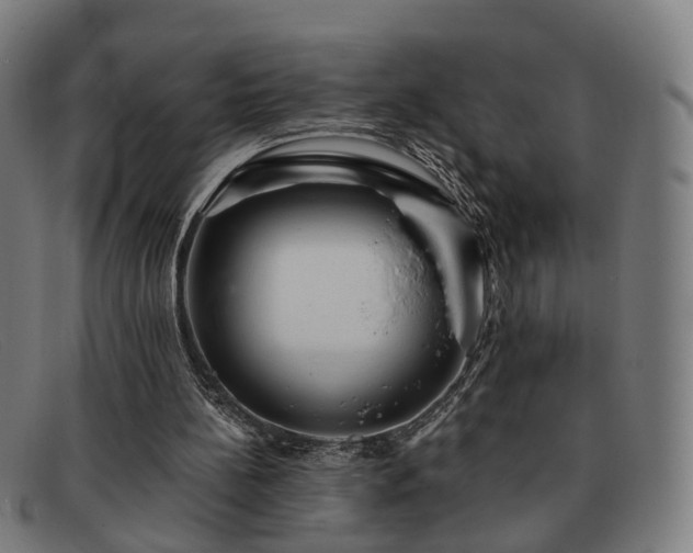 X0000091900148200709121505