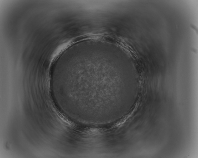 X0000091900149200709121505