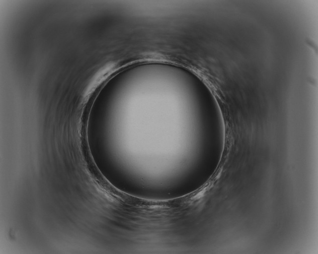 X0000091900151200709121505