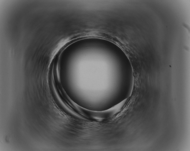 X0000091900152200709121505