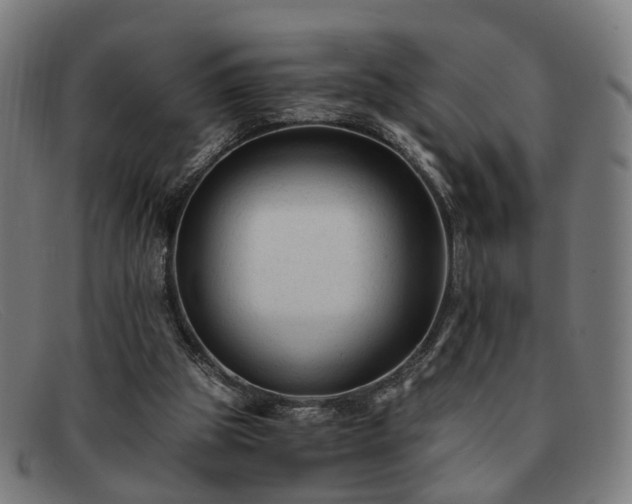 X0000091900153200709121505