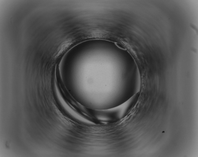 X0000091900154200709121505