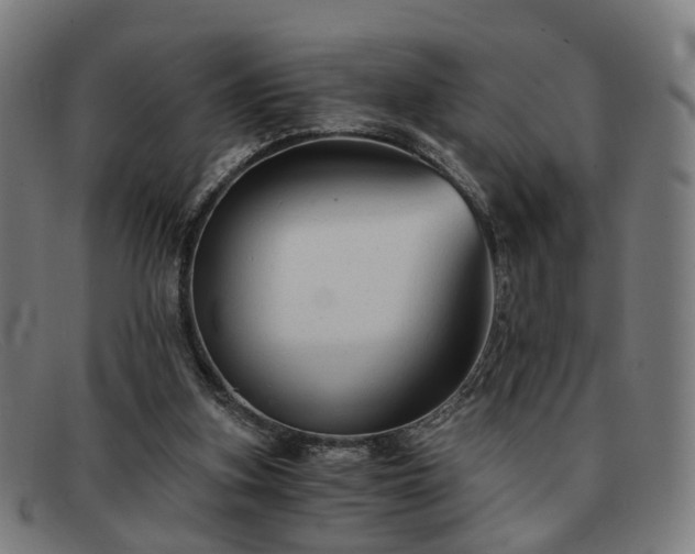 X0000091900155200709121505