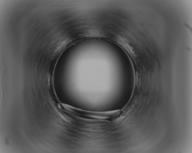 X0000091900157200709121505