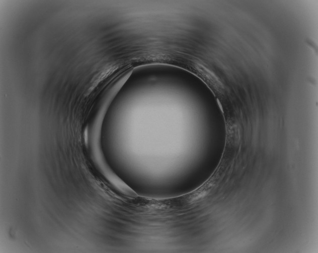 X0000091900158200709121505