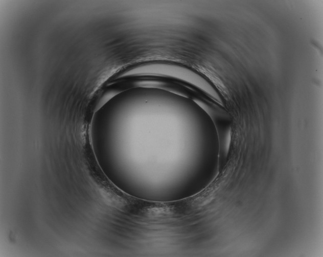 X0000091900160200709121505