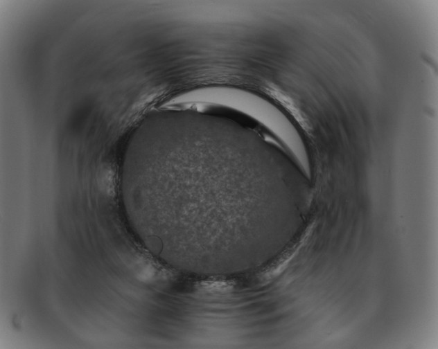 X0000091900161200709121505