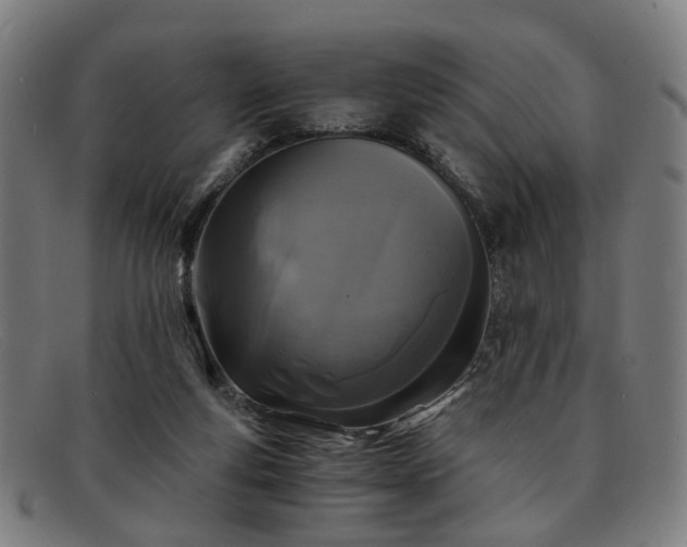 X0000091900163200709121505