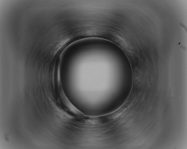 X0000091900164200709121505