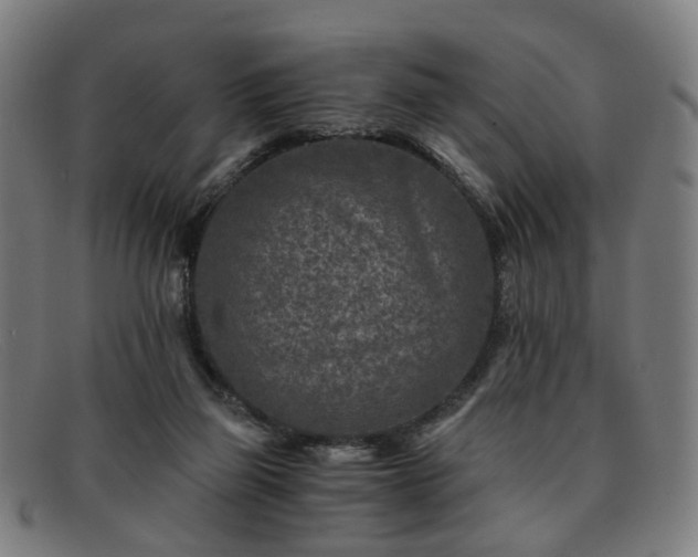 X0000091900165200709121505